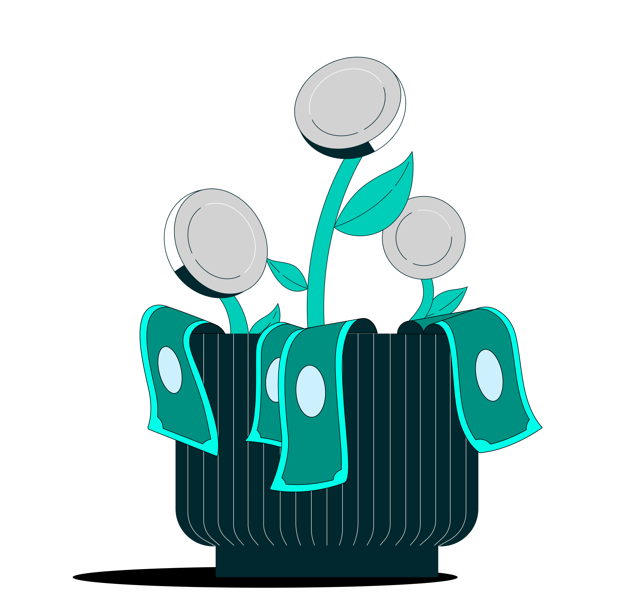 a plant with money in it