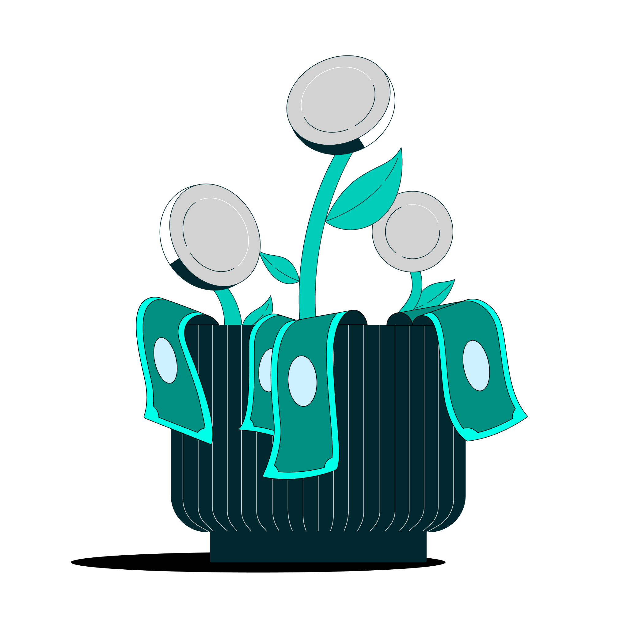 a plant with money in it
